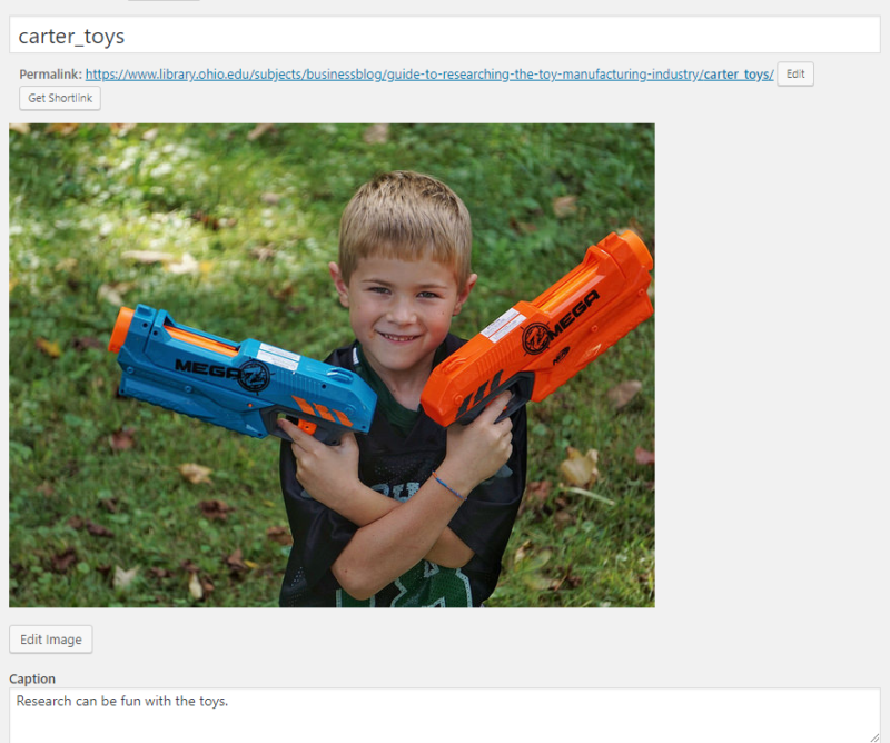 a picture of a boy with toy nerf guns
